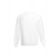 CLASSIC BLUZA RAGLAN SWEAT