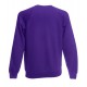 CLASSIC BLUZA RAGLAN SWEAT